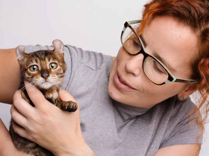 A cute tigrett kitten and me