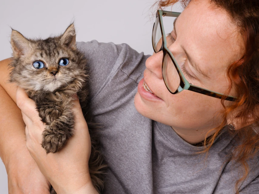 Amelia the blue eyed selkirk rex kitten and me