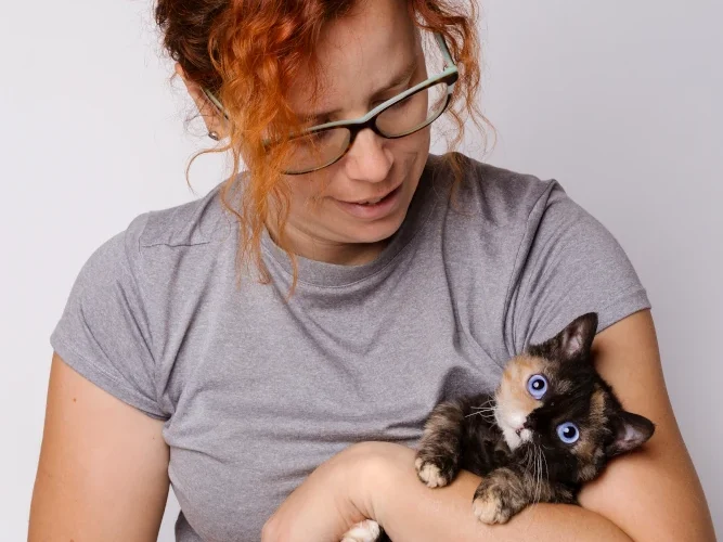 What is the personality of Lambkin cats?