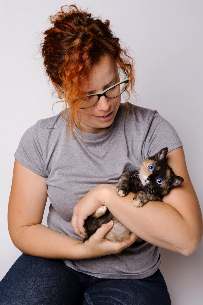 What is the personality of Lambkin cats?